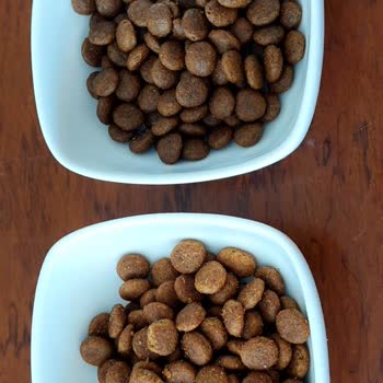 Aynı Markaya Ait Farklı Mama Paketlerinde Güven Sorunu Ve Farklılıklar