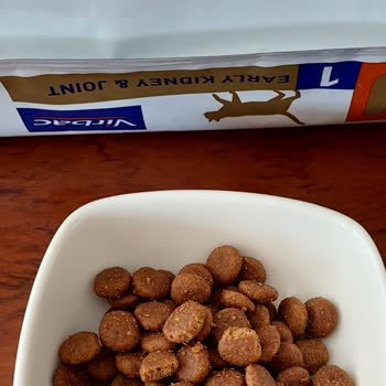 Aynı Markaya Ait Farklı Mama Paketlerinde Güven Sorunu Ve Farklılıklar