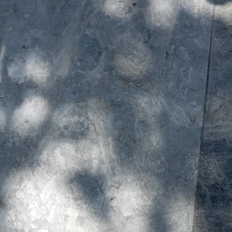 Obilet Müşteri Hizmetlerine Ulaşamamak Ve İade Sorunu