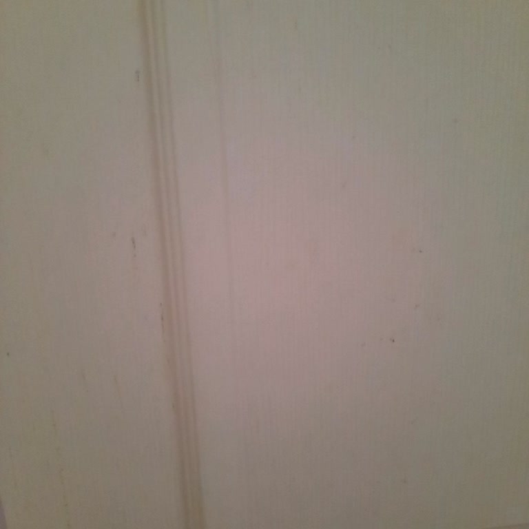 Aldığım Boyanın Kalitesi Ve İçindeki Yabancı Maddeler Hayal Kırıklığı Yarattı