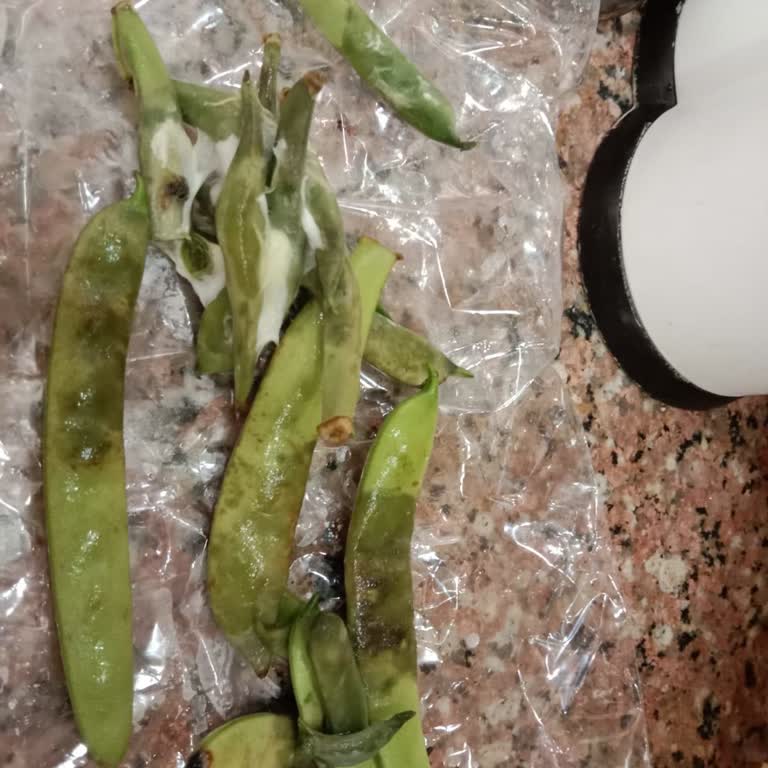 Çürük Ürün Gönderildi, İade Yapılmıyor!