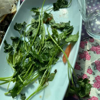 Cennet Vadisi Gözleme Salonu Yediğimiz Ürünlerin İçinden Birden Fazla Kıllar Çıktı