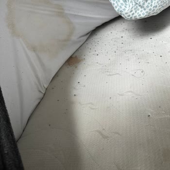 Schockierende Zustände in Krakauer Unterkunft, Booking.com reagiert unzureichend