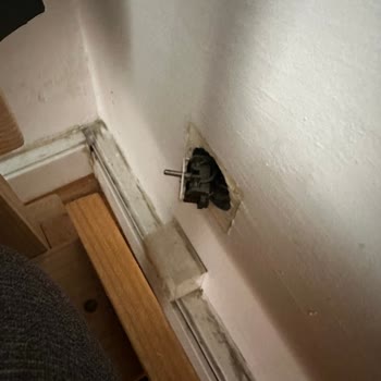 Schockierende Zustände in Krakauer Unterkunft, Booking.com reagiert unzureichend