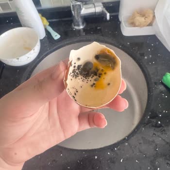 Son Kullanma Tarihi Geçmemiş Yumurtalar Bozuk Çıktı, İade Talebim Var