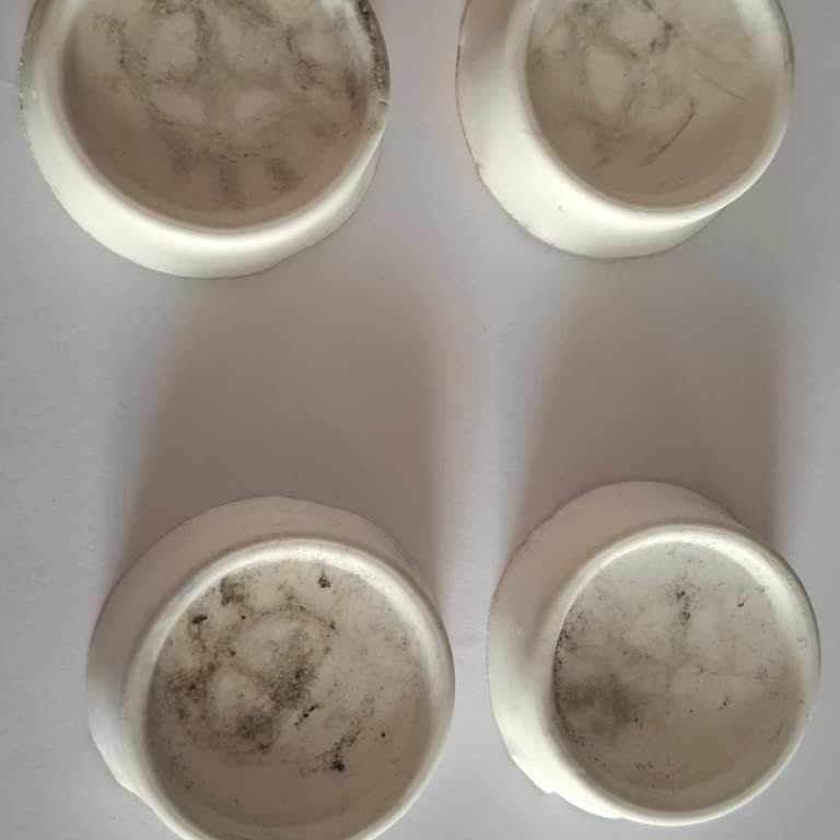 Beko Çamaşır Makinesi Sorunu ve Yetersiz Servis Deneyimi