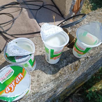 Son Kullanma Tarihi Geçmemiş Ayranlar Küflü Çıktı, Misafirlerimize Mahcup Olduk