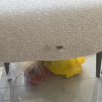 Yeni Malatya Taşımacılık Ürünlerimizin Bazı Kısımlarına Zarar Vermiştir