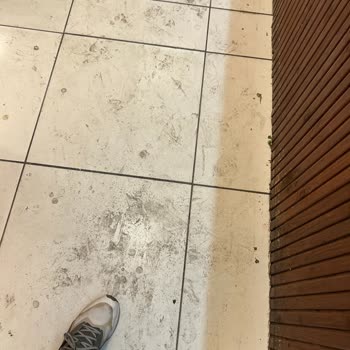 Market Şubesinde Hijyen Sorunu Ve Bozulmuş Ürün Satışı