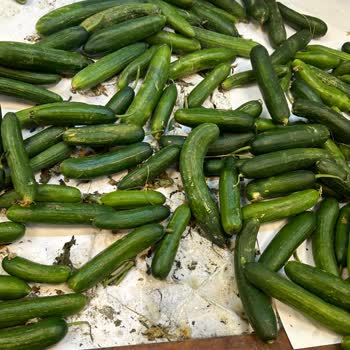 Market Şubesinde Hijyen Sorunu Ve Bozulmuş Ürün Satışı