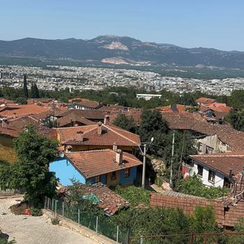 Cumalıkızık Ihlamur Altı Gözleme Evi Karadut Suyu Organik Değil