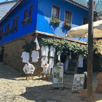 Cumalıkızık Ihlamur Altı Gözleme Evi Karadut Suyu Organik Değil