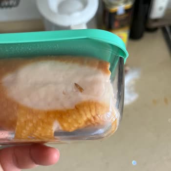 Aldığım Tavuk Fümeyle İlgili Hijyen Sorunu Ve Şok Edici Deneyim