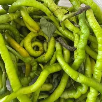 Getir Büyük Siparişimde Eksik Ve Bozuk Ürün Sorunu Yaşadım