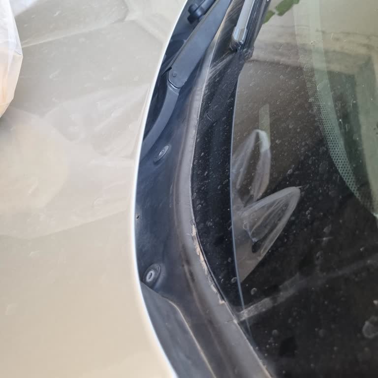 BMW F10 Ön Cam Fitil Sorunu Kronikleşiyor