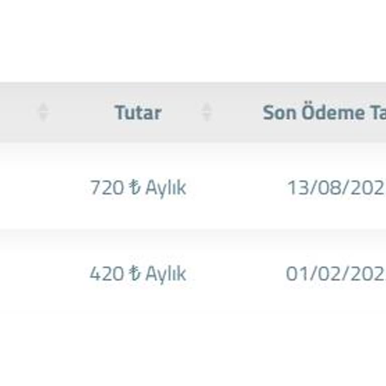 Hostungo Satıcı Aktif Olmasına Rağmen Asla Cevap Vermiyor Ve Siparişi Kurmuyor