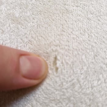 Yeni Alınan Halıda Kısa Sürede Tüylenme Ve Yırtık Sorunu