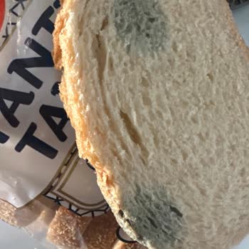 Getirden Aldığım Sucuk Ve Ekmek Küflü Çıktı Tadımız Kaçtı