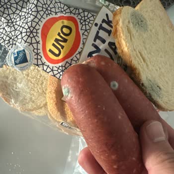 Getirden Aldığım Sucuk Ve Ekmek Küflü Çıktı Tadımız Kaçtı