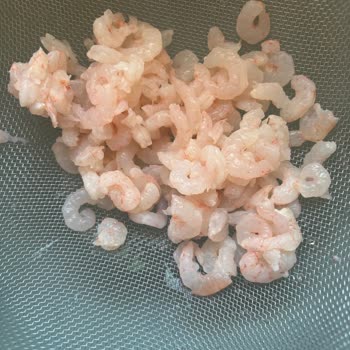 Aldığım Karides Paketi Beklentimi Karşılamadı, Param Boşa Gitti