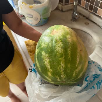 A101 Siparişimde Eksik Kilo Ürün Gönderildi, Ücret Tam Alındı