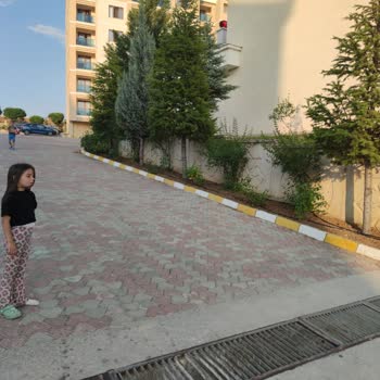 Konaklama Deneyiminde Güvenlik Ve Hizmet Sorunları