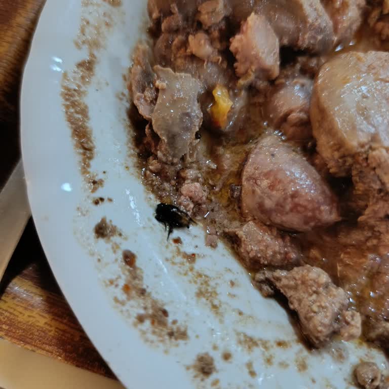 Yemekte Böcek Çıkmasına Karşı Yetersiz İlgi Ve Yetersiz Çözüm