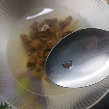 Aldığım Kuru İncirde Böcek Çıkması Hayal Kırıklığı Yarattı