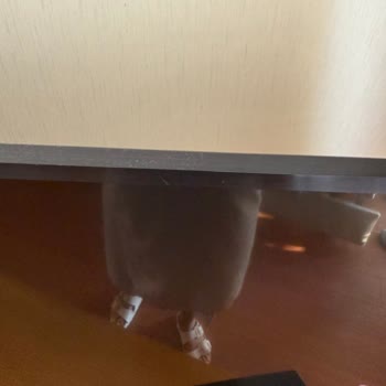 Hijyen Ve Güvenlik Sorunlarıyla Başlayan Kötü Tatil Deneyimi