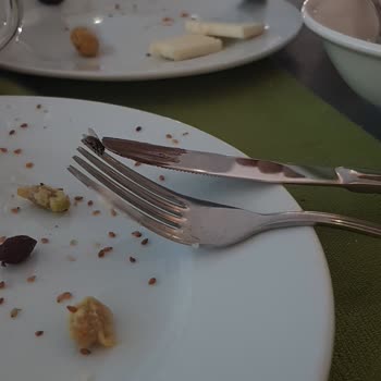 Queens Park Otel'de Sinek Sorunu Ve İlgisiz Hizmet