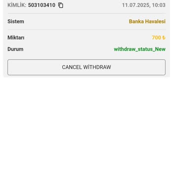 Alfabahis Kazanç Çekiminde Sürekli İptal Ve Hesap Kapatma Sorunu