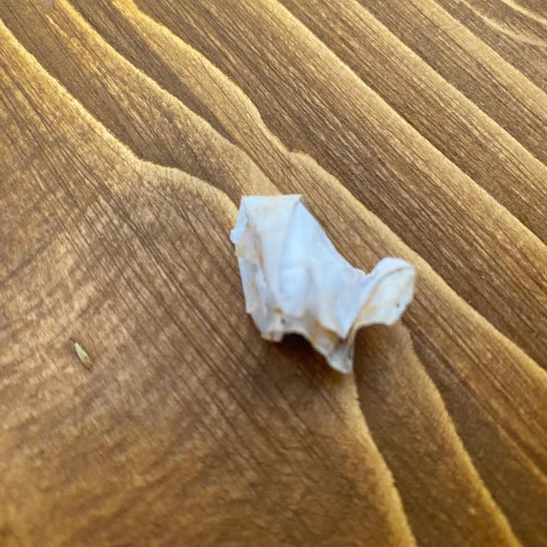 Cips Paketinden Yabancı Madde Çıkması Nedeniyle Güven Sorunu