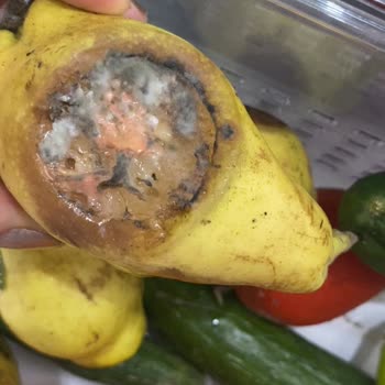 Siemens Buzdolabı Soğutmuyor, Servis Ve Müşteri Desteği Yetersiz