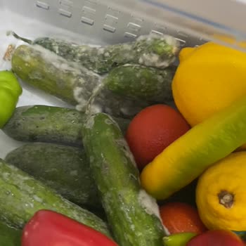 Siemens Buzdolabı Soğutmuyor, Servis Ve Müşteri Desteği Yetersiz