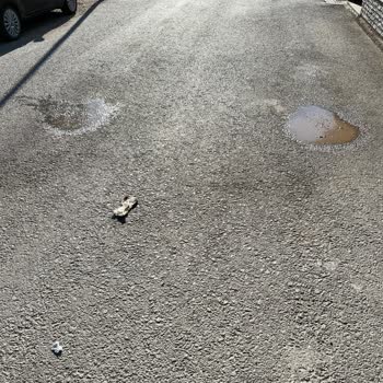 Çöp Toplama Sonrası Mahallede Kötü Koku Ve Kirlilik Sorunu