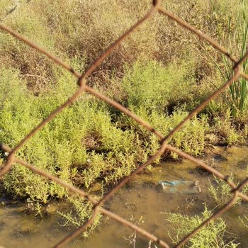 Seferihisar Belediyesi Karavan Parkında Duş Suyu Ve Sinek Sorunu