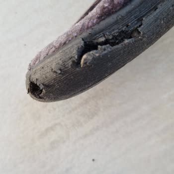 Gezer Terlikler Kısa Sürede Parçalandı Evde Siyah Parçalar Saçıldı