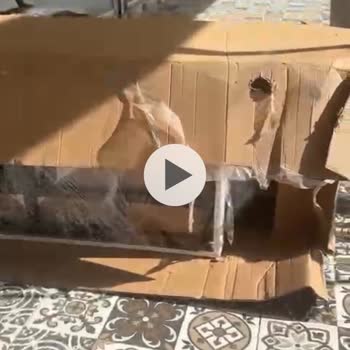 Aldığım Motorlu Sedyede Sürekli Sorunlar Ve İlgisiz Firma