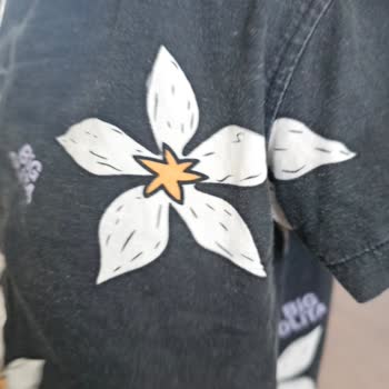 Zara'dan Aldığım Gömlek İlk Yıkamada Renk Değiştirdi, Müşteri Hizmeti Yetersiz