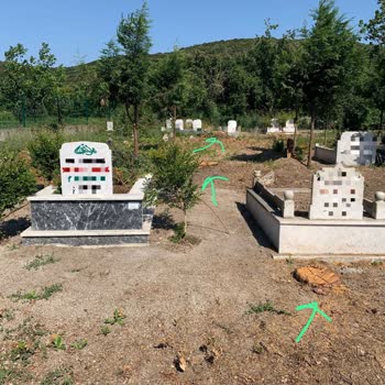 Mezarlıktaki Ağaçların Kesilmesiyle Gölgelik Alan Kalmadı