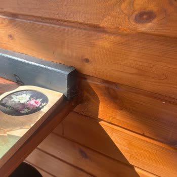 Adres Bungalov Bungalov Tatilinde Temizlik Ve Donanım Sorunları Hayal Kırıklığı Yarattı