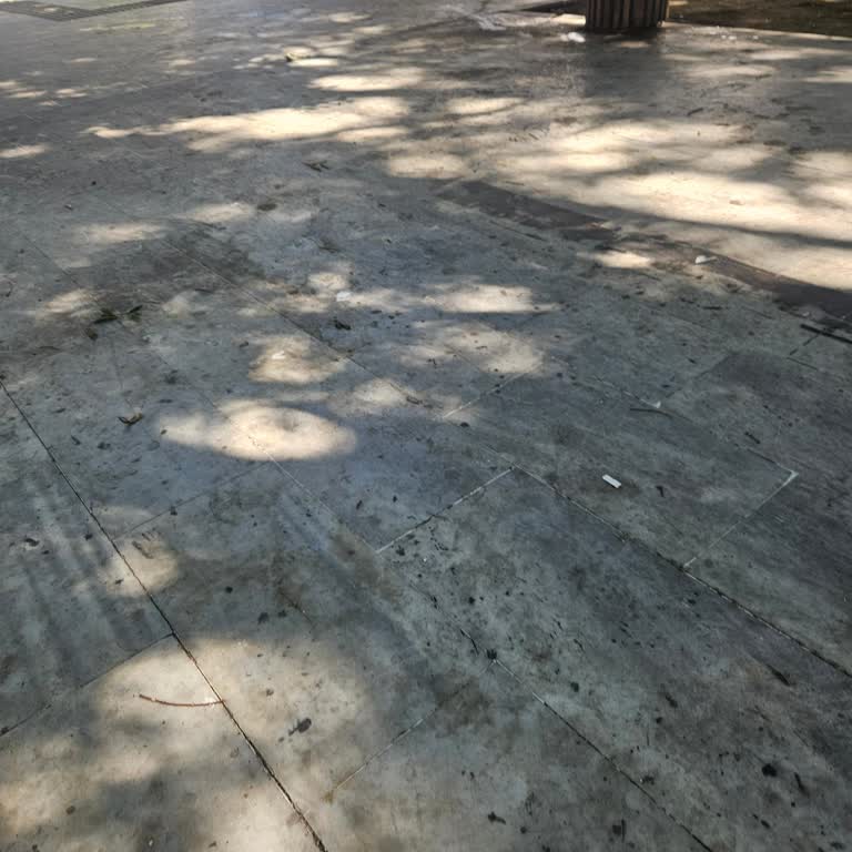 Parkta Temizlik ve Bakım Sorunları Hakkında Şikayet