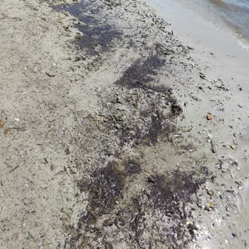 Scala Nuova Beach Hotel’de Hijyen Ve Hizmette Büyük Hayal Kırıklığı