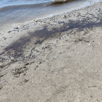 Scala Nuova Beach Hotel’de Hijyen Ve Hizmette Büyük Hayal Kırıklığı