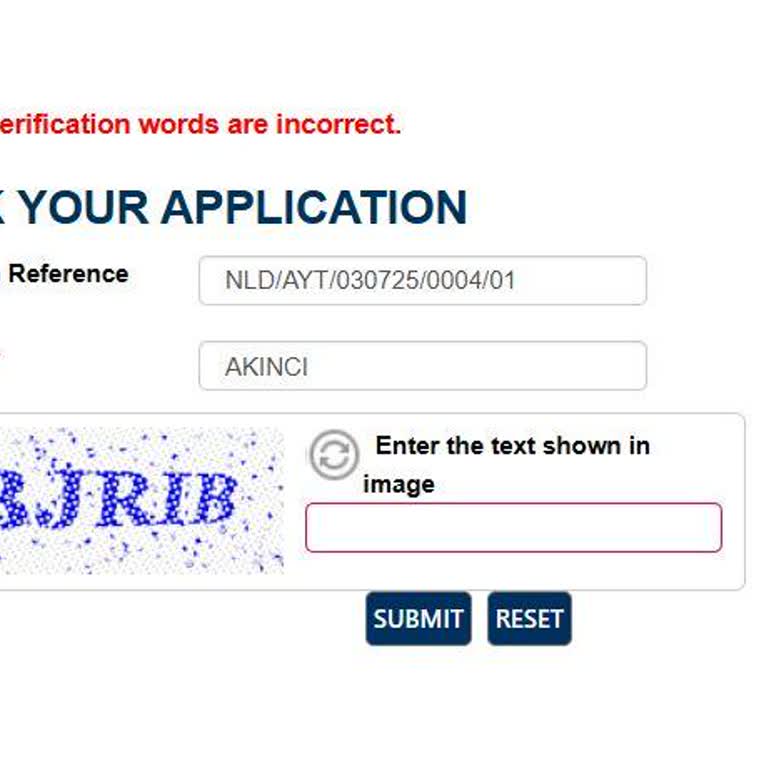 Vize Takip Sistemi Çalışmıyor, Sonuç Alamıyorum