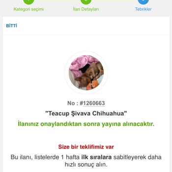 Ödeme Yapmama Rağmen İlanım Onaylanmadı Ve İletişim Kurulamıyor