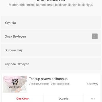 Ödeme Yapmama Rağmen İlanım Onaylanmadı Ve İletişim Kurulamıyor