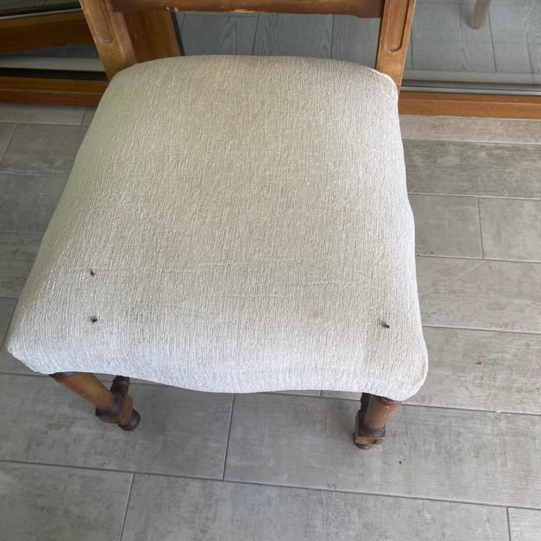 Mahalleyi İstila Eden Sinek Sorunu Ve Belediyenin İhmali