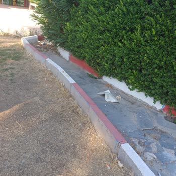 Gençlik Parkı'nın Bakımsızlığı Ve Kötü Durumu