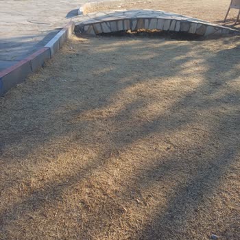 Gençlik Parkı'nın Bakımsızlığı Ve Kötü Durumu